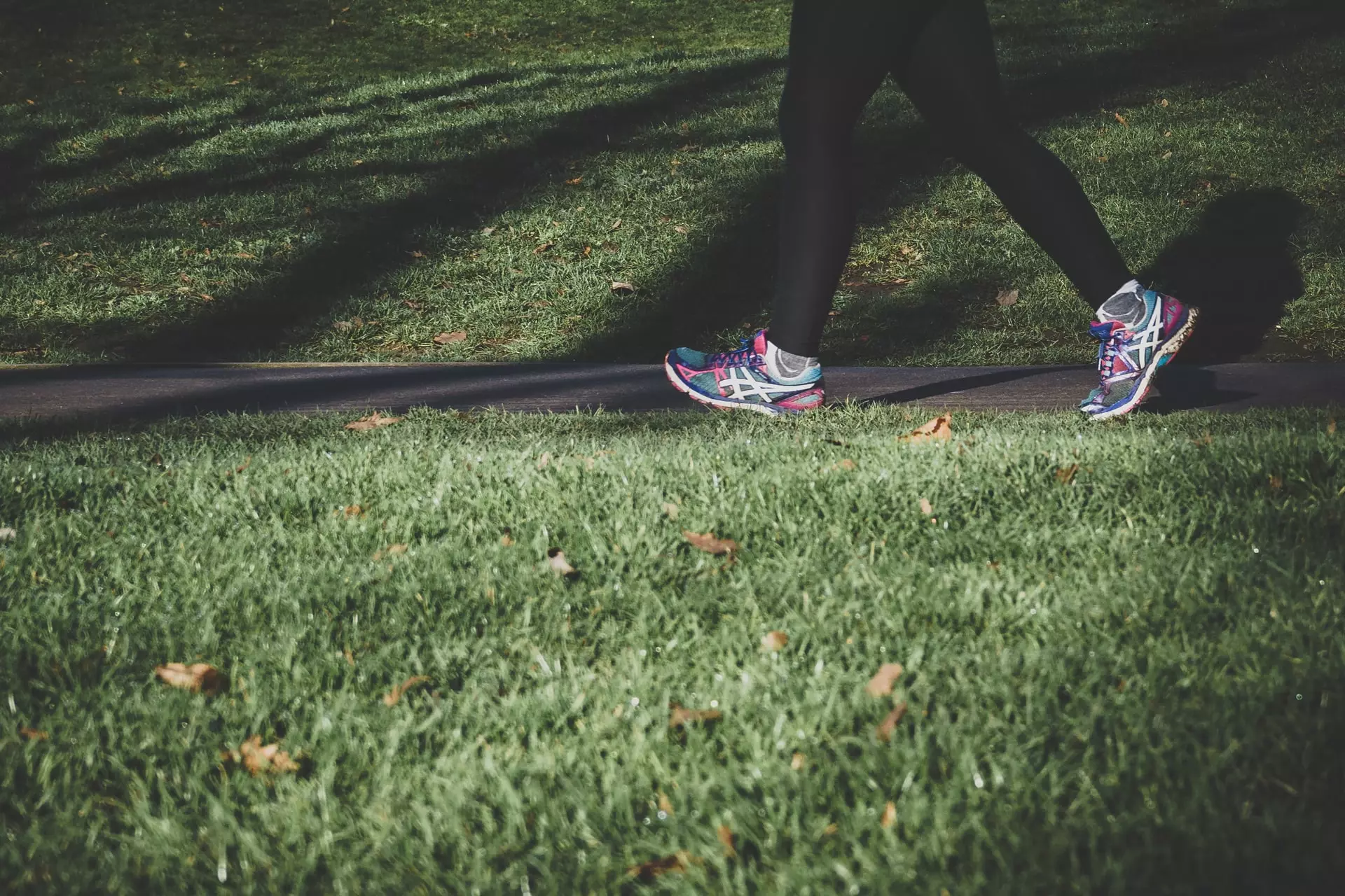 Circadian Walking: Why a 10-Minute Morning Stroll is a Metabolic Powerhouse